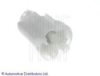 BLUE PRINT ADC42351 Fuel filter
